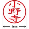 31535026