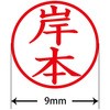 31535263