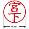 31536356