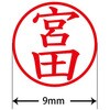 31536365