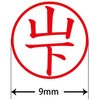 31536496