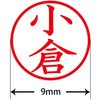 31536977