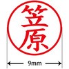 31537074
