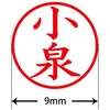 31537232