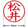 31537984