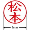 31538045