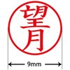 31538194