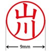 31538237
