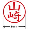 31538255