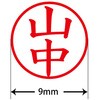 31538282