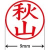 31538404