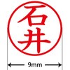 31538474