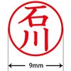 31538483