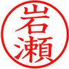 31538553