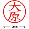 31538754