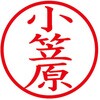 31538772
