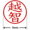 31538894