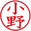 31538903