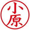 31538912