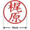 31538946