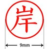31539095