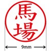 31540048