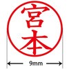 31540434