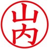 31540504