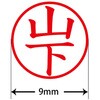 31540538