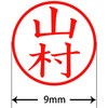31540556