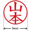31540565