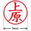 31540924