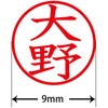 31541037