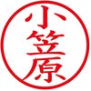 31541082