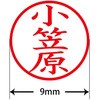 31541082