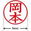 31541116