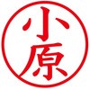 31541238