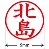 31541405