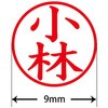 31541545
