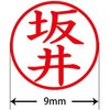 31541624