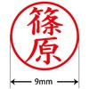 31541703