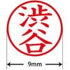 31541728