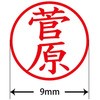 31541764