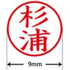 31541773