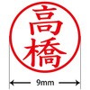 31541904