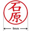31543252