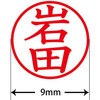 31543304