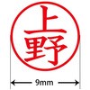 31543356