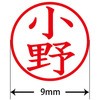 31543575