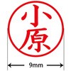 31543584